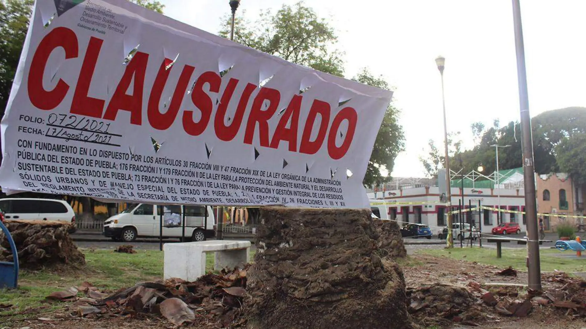 El derribo de 12 palmeras en el barrio de Analco desató una confrontación entre el gobierno del estado y el ayuntamiento de Puebla